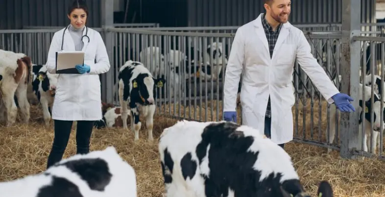 herd management in starting a dairy farming business