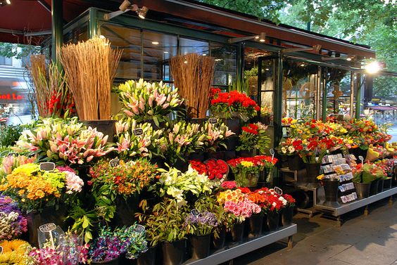 Business Ideas in Hyderabad (Flower Shop Business)