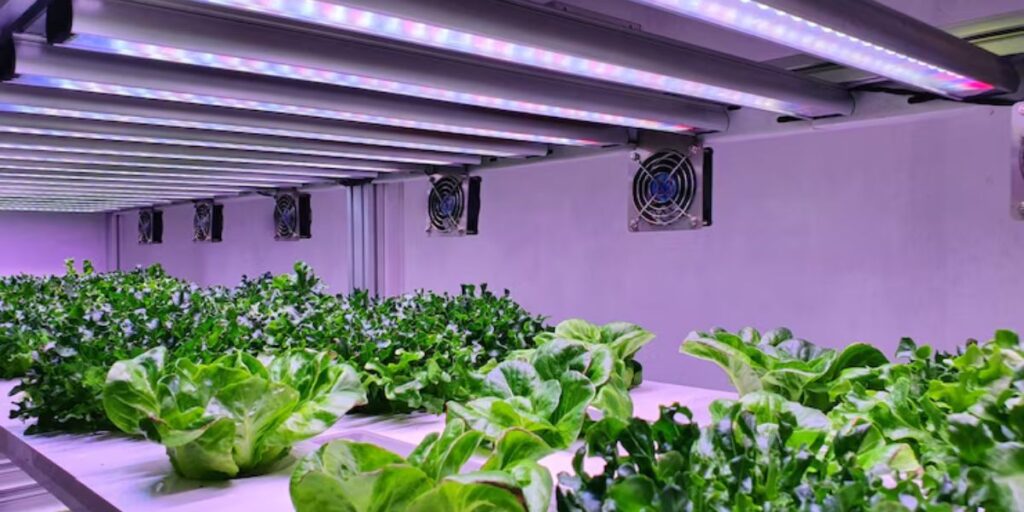 Agriculture Business Ideas