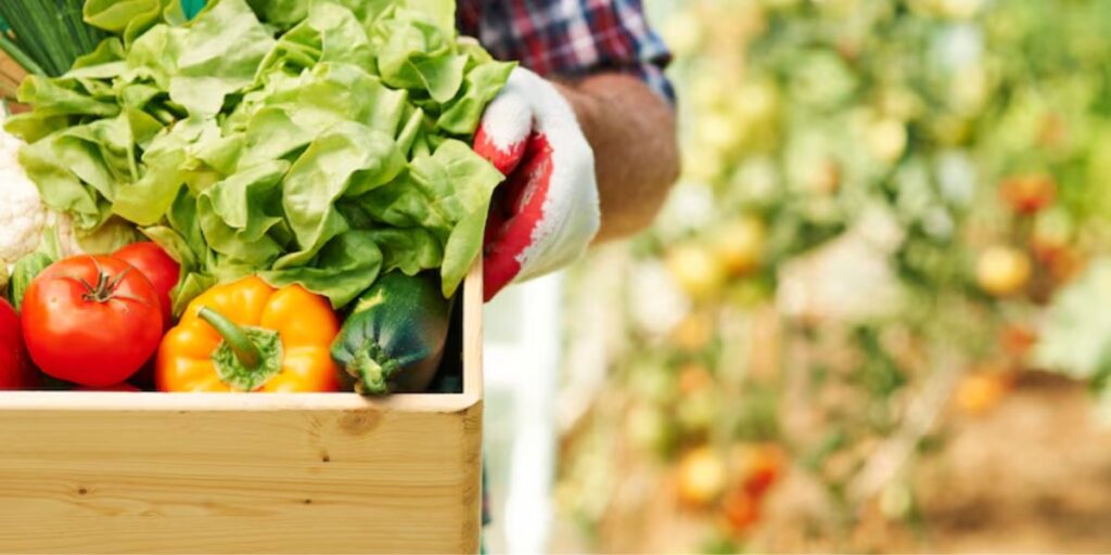 Agriculture Business Ideas