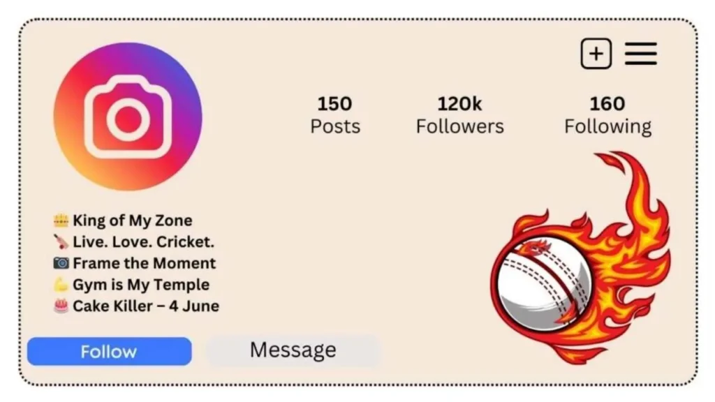 Instagram Bio for Cricket Lovers