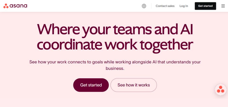 Marketing Project Management Tool - Asana