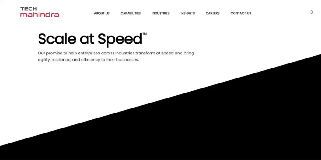 Software Companies in India