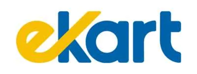 Flipkart Subsidiaries