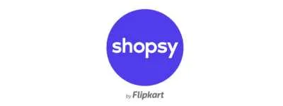 Flipkart Subsidiaries