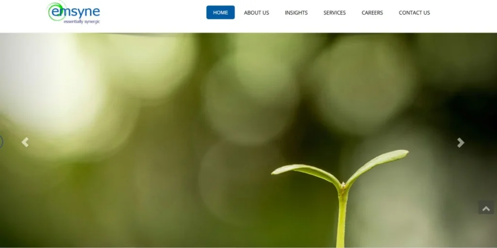 Emsyne Technologies - Software Companies in Kochi