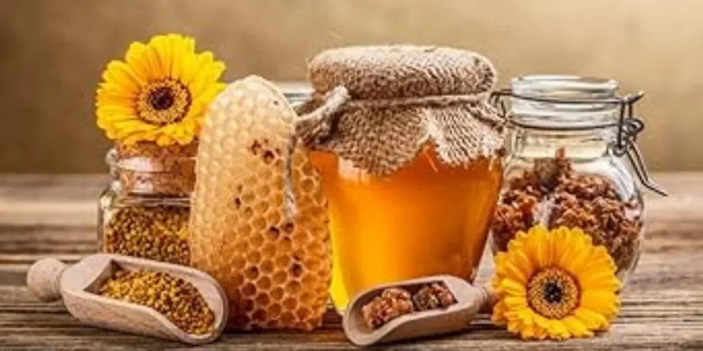 Organic Honey & Bee Products - Export Business Ideas