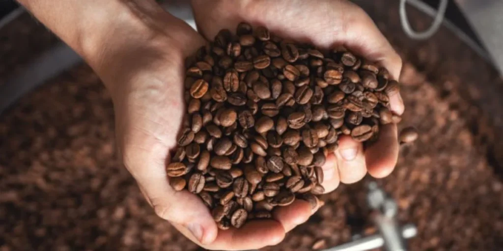 Specialty Coffee Beans - Export Business Ideas