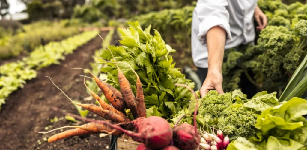 Business Ideas in Bihar - Agri-Based Small Businesses