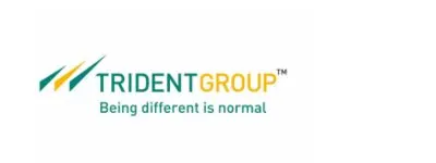 IT Companies in Mohali