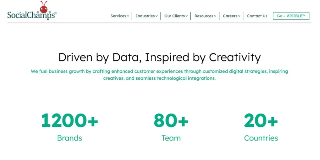 Digital Marketing Agencies in Pune