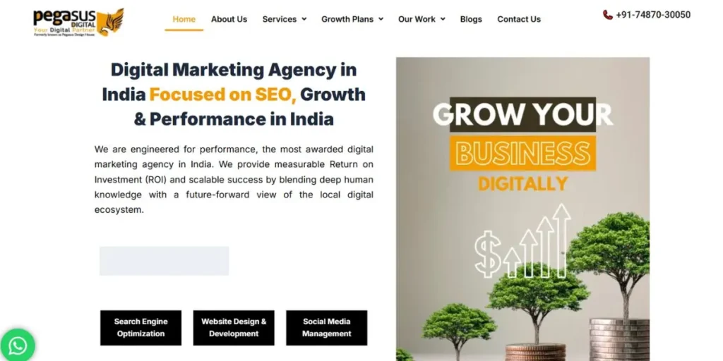 Pegasus Digital - Digital Marketing Companies in Vadodara