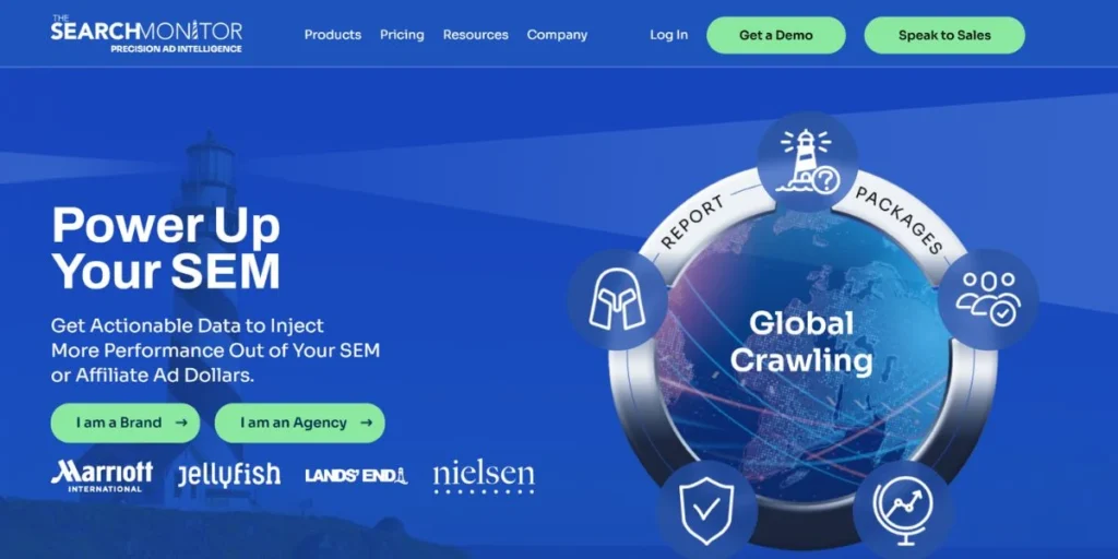 The Search Monitor - Brandverity Competitors
