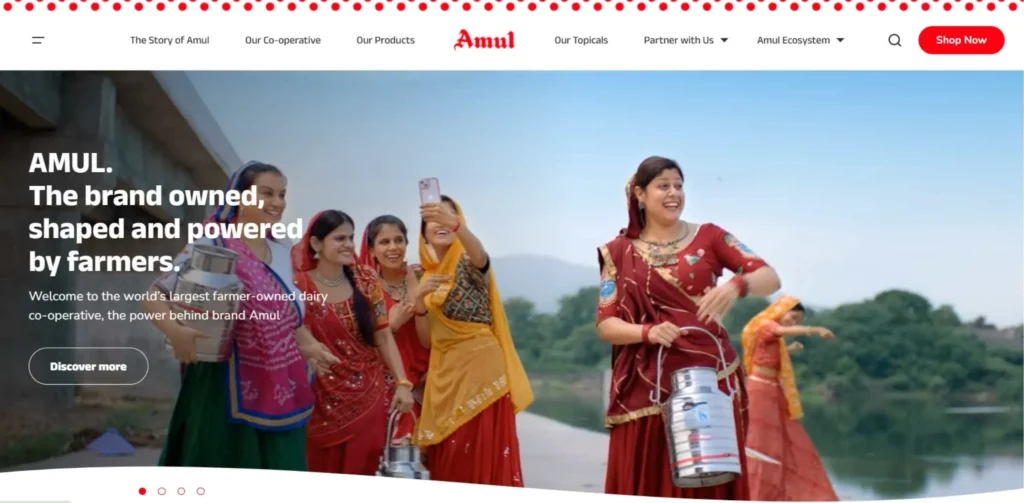 Dairy Products Companies in India
