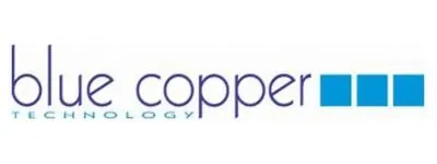 Top 50 IT Companies in Kolkata 2026: MNCs, Startups & Software Firms in Salt Lake Sector V IT Companies in Kolkata - Blue Copper Technologies