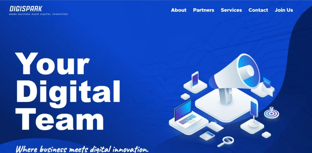 IT Companies in Thanjavur - DigiSpark Solutions
