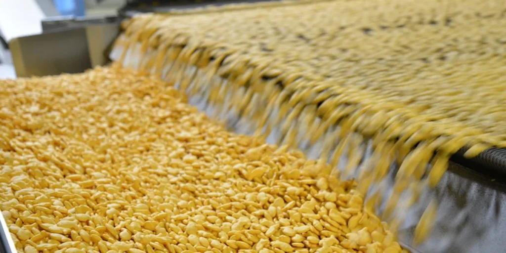 Namkeen and Snack Manufacturing - Manufacturing Business Ideas