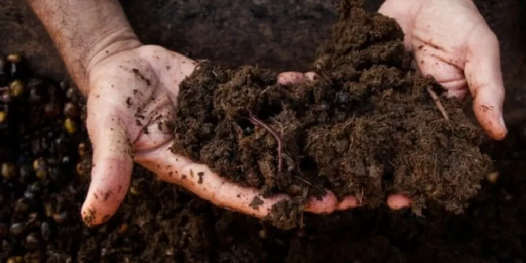 Organic Fertiliser and Compost Manufacturing - Manufacturing Business Ideas